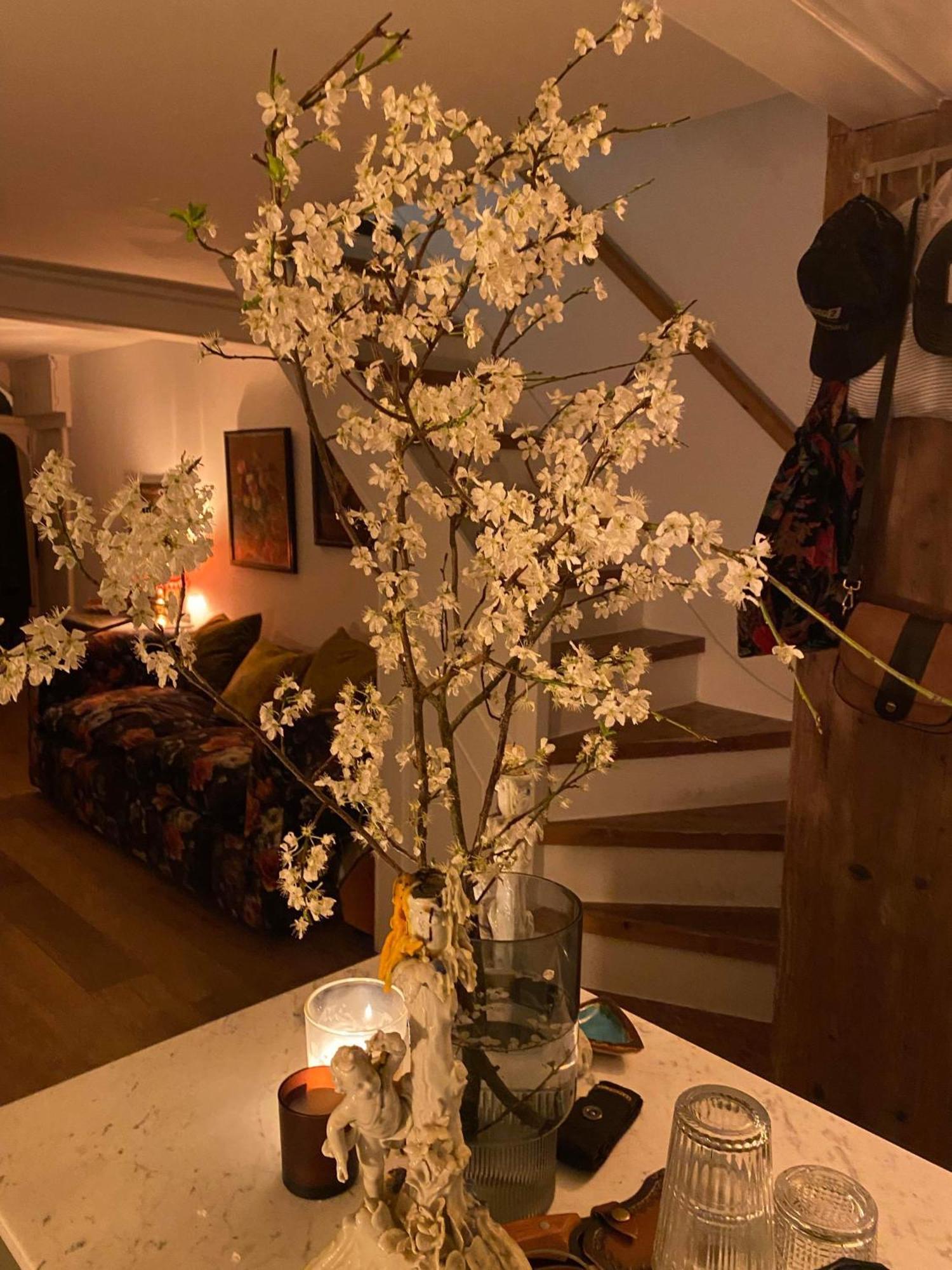 Stylish & Cosy Boutique Townhouse 1 Bedroom, 1 Sofa Bed - Sleeps 4 Christchurch  Exteriör bild